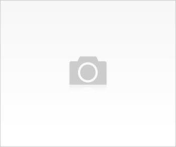 SOMON DNA (x.prof 110 X-ADN)